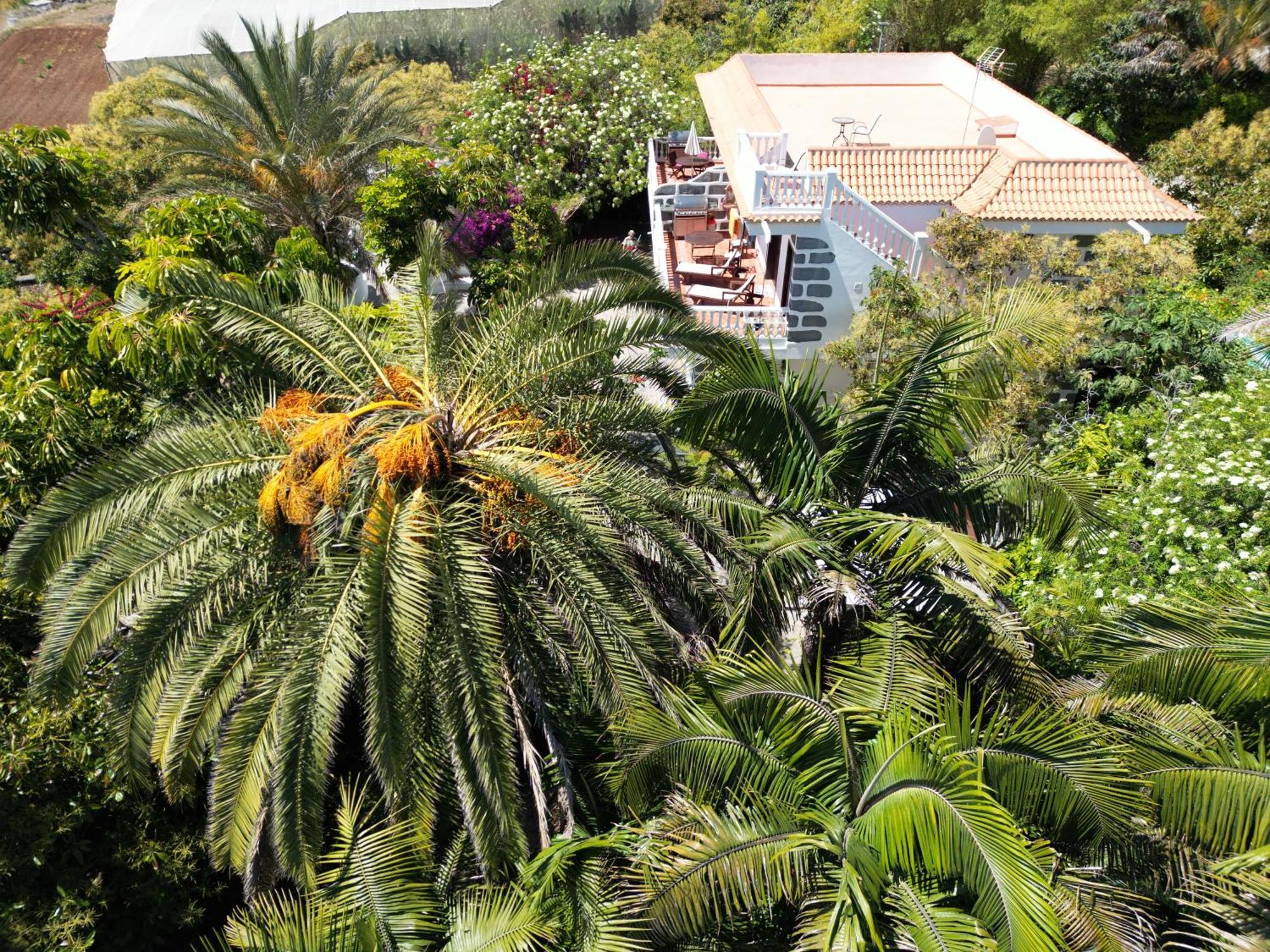 Tijarafe 1 Villa Dış mekan fotoğraf