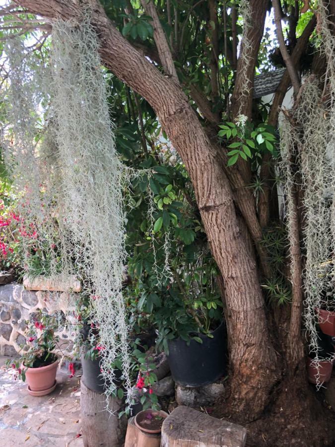 Tijarafe 1 Villa Dış mekan fotoğraf
